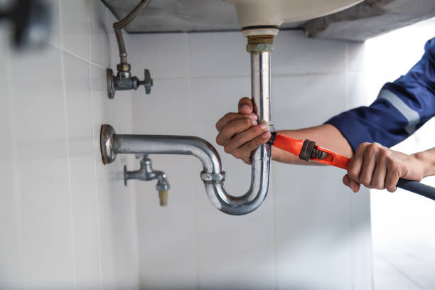 Best Clogged Drain Plumber  in Park River, ND