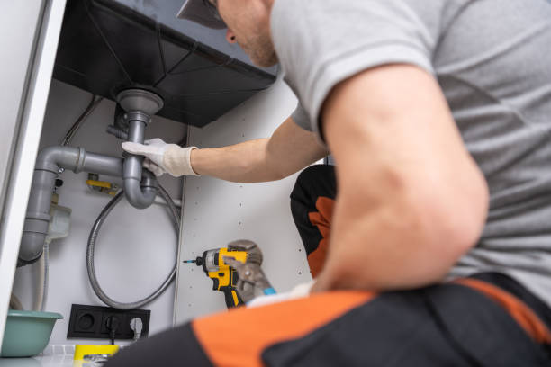 Best Local Plumber Services  in Park River, ND